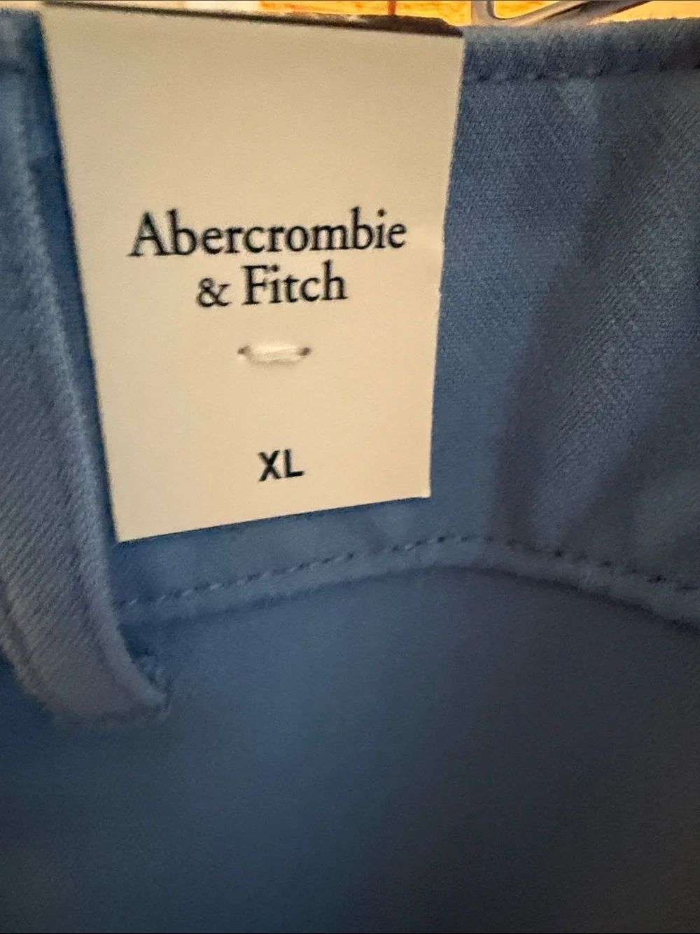Blue Women’s Pleated Dress Pants